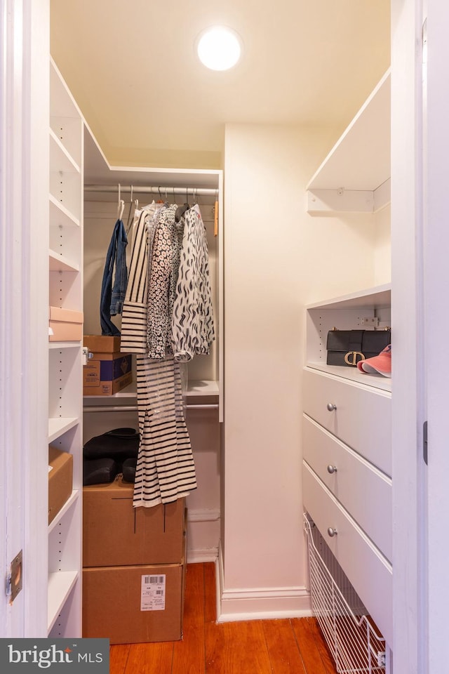 spacious closet featuring wood finished floors