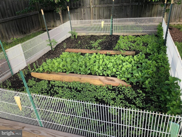 view of yard featuring a garden and a fenced backyard