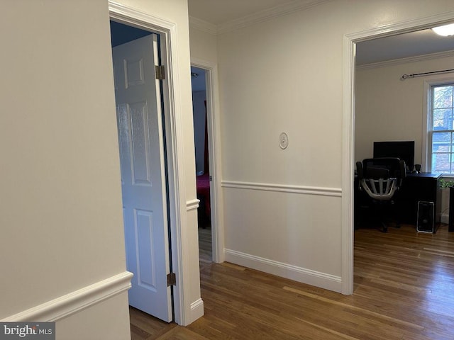 corridor featuring crown molding, baseboards, and wood finished floors