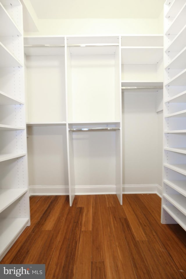 walk in closet featuring wood finished floors