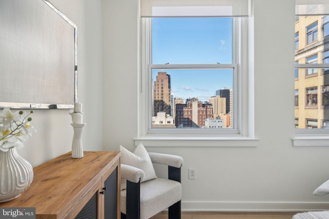 living area featuring a city view and baseboards