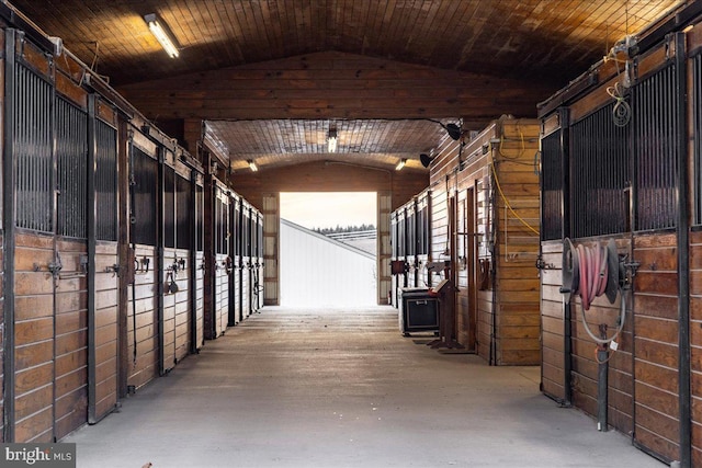 view of horse barn