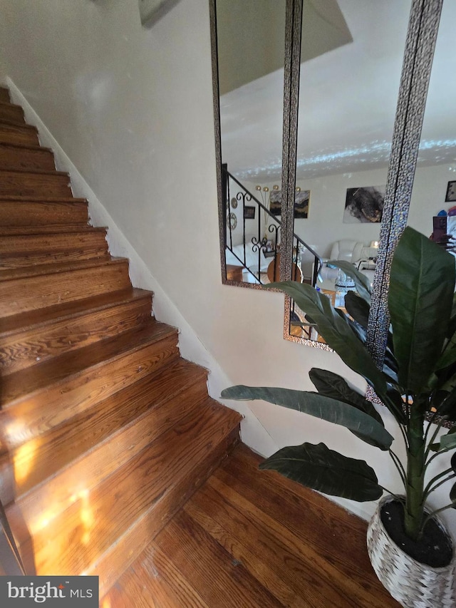 staircase with wood finished floors