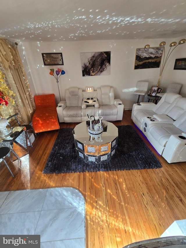 living area with wood finished floors