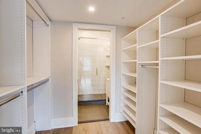 walk in closet featuring light wood-type flooring