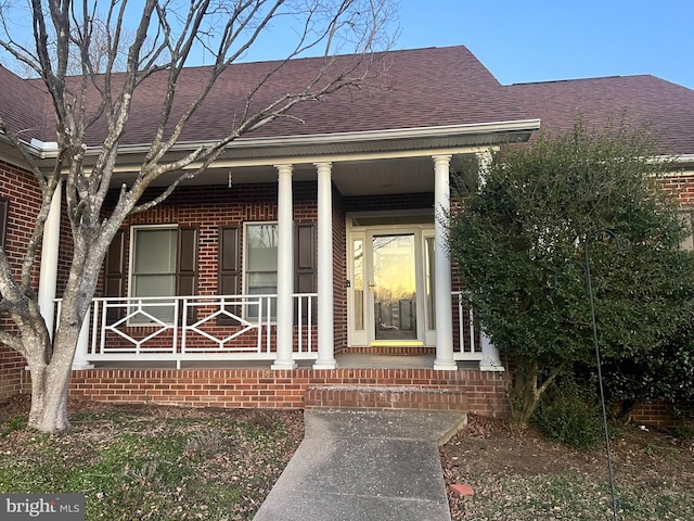 entrance to property with brick siding, covered porch, and a shingled roof