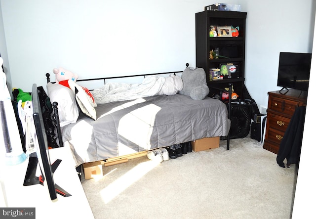 bedroom with carpet flooring