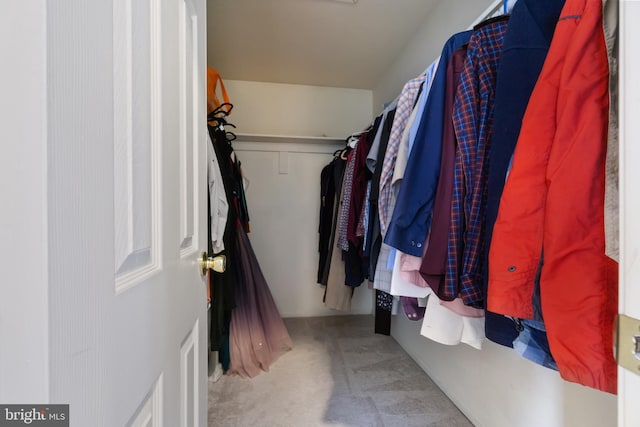 view of spacious closet