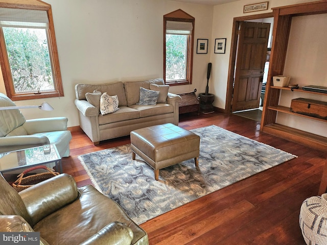 living room with hardwood / wood-style floors