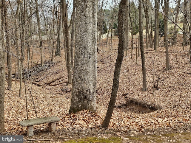 view of landscape