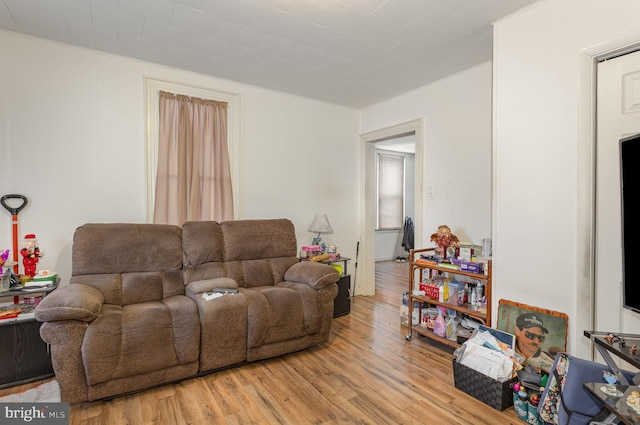 living area with light wood-type flooring