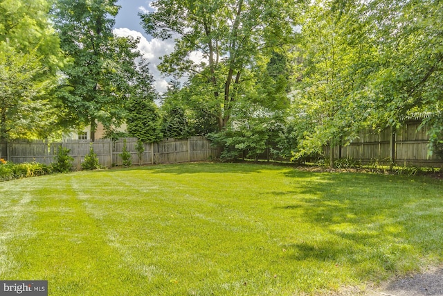 view of yard with a fenced backyard