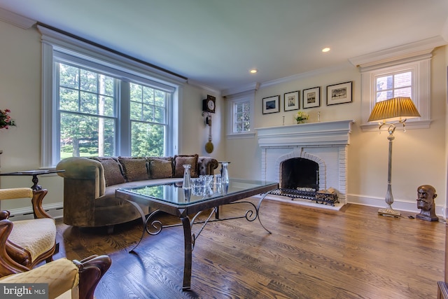 living area featuring a fireplace, crown molding, baseboards, and wood finished floors