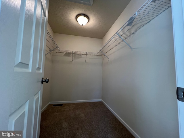 spacious closet featuring carpet floors and visible vents