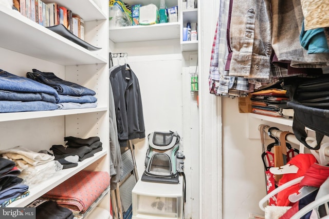 view of walk in closet