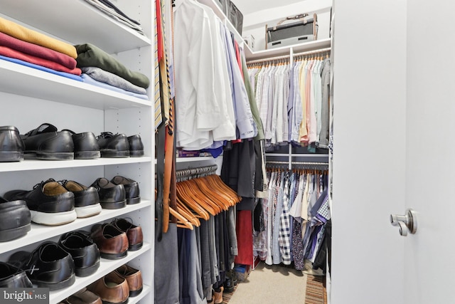 walk in closet featuring carpet