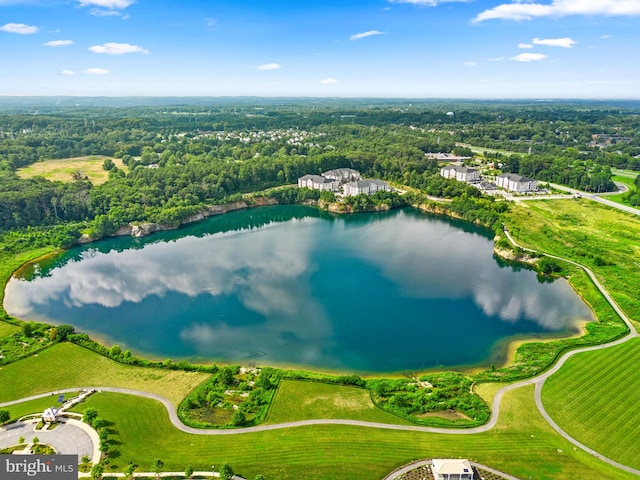 bird's eye view featuring a forest view and a water view