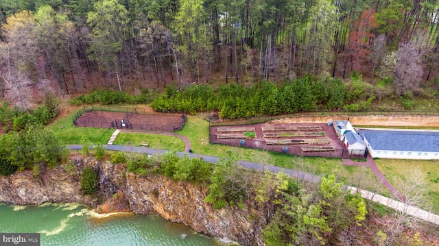 bird's eye view featuring a wooded view