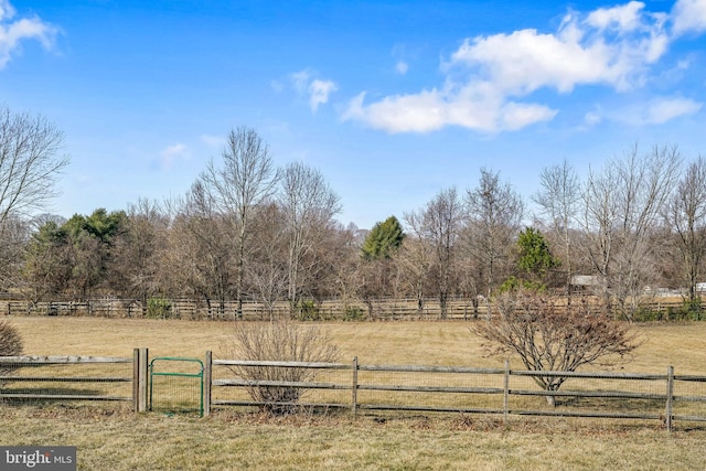 view of yard with a gate, a rural view, and fence