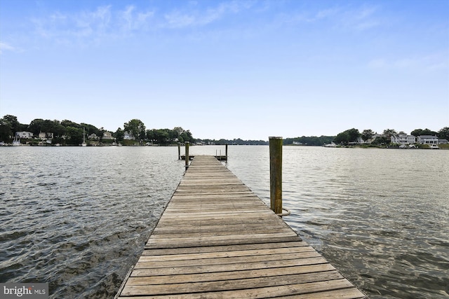 dock area with a water view