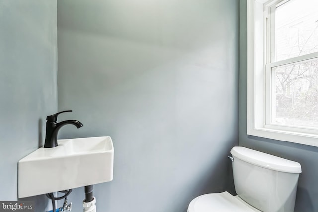 half bath featuring a sink and toilet