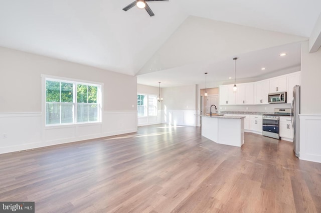 kitchen with appliances with stainless steel finishes, open floor plan, a wainscoted wall, and a sink