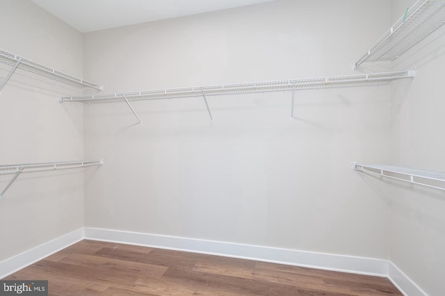 walk in closet featuring wood finished floors