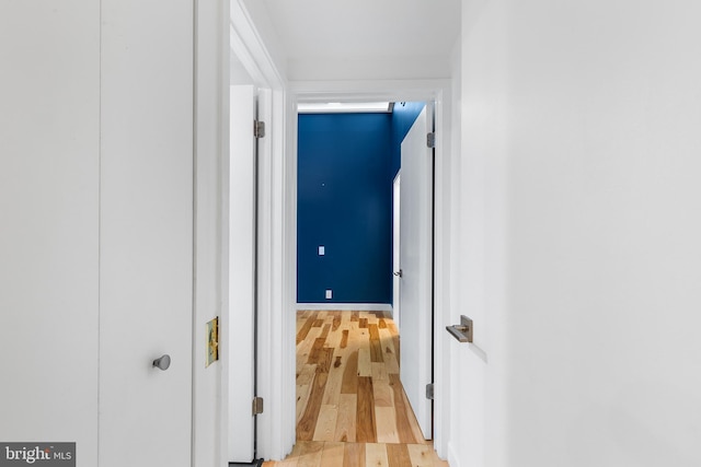 hallway with light wood-style flooring