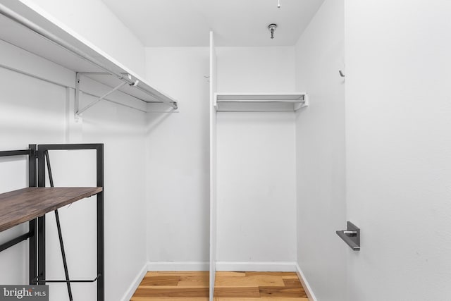 spacious closet featuring wood finished floors