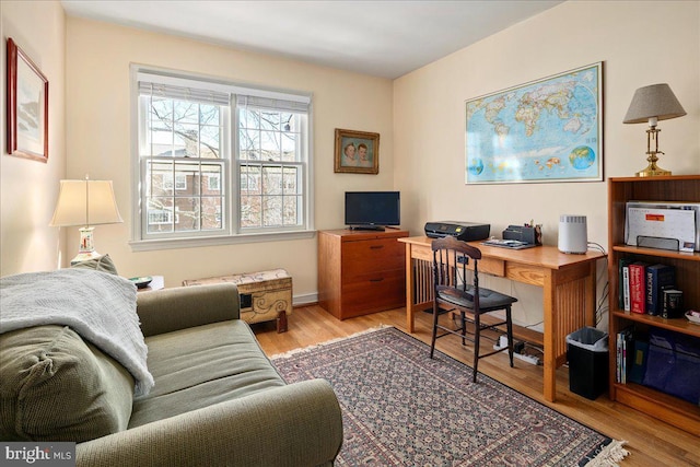 office featuring wood finished floors