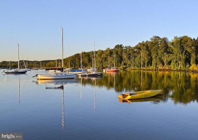 water view with a dock