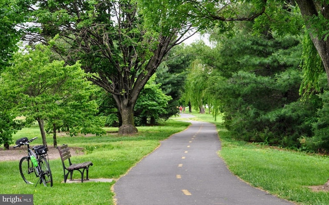 view of community featuring a yard