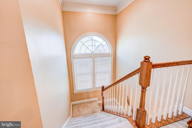 staircase with baseboards and crown molding