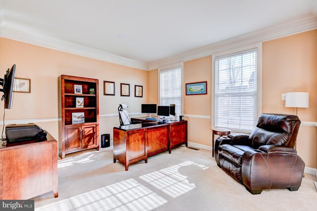 carpeted office space featuring baseboards and crown molding