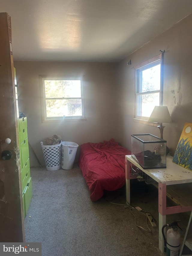 carpeted bedroom with multiple windows