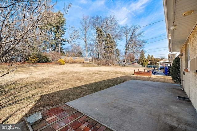 view of yard featuring a patio area