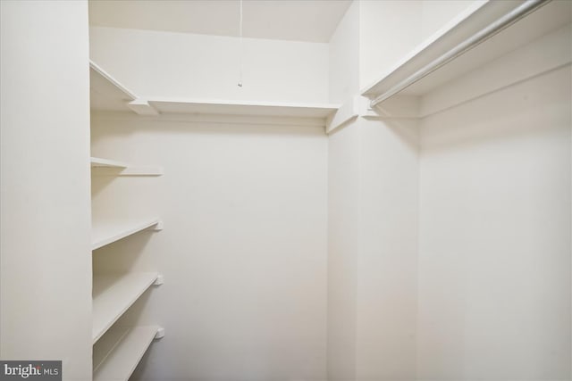 view of walk in closet