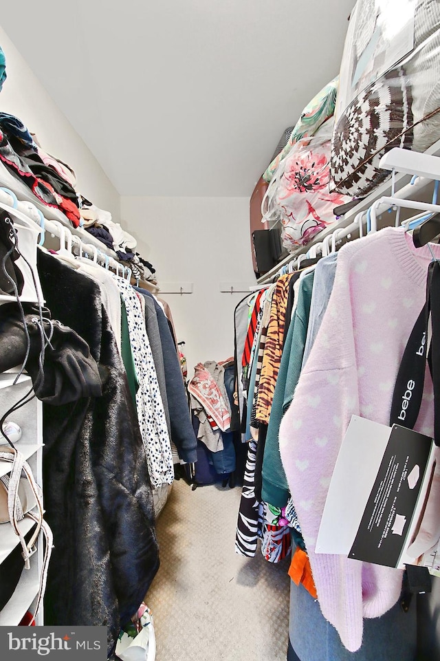 walk in closet with carpet floors