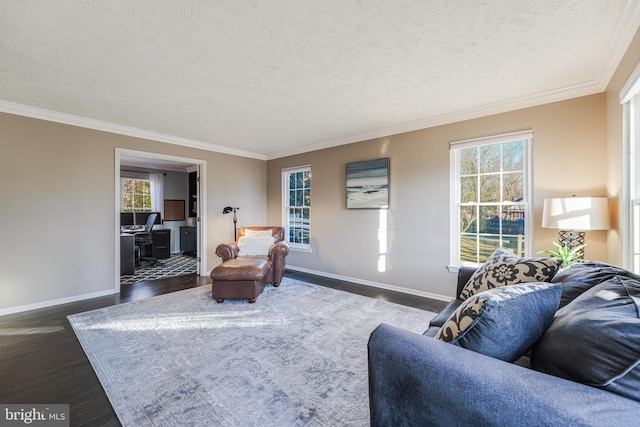 living room featuring ornamental molding, a healthy amount of sunlight, and dark wood-style floors