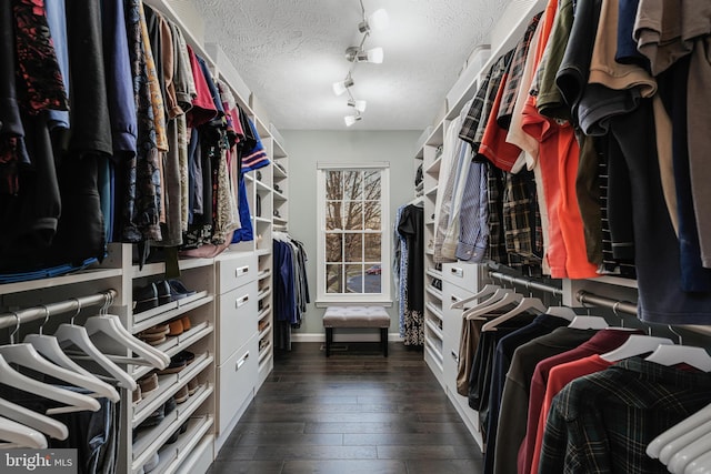 spacious closet with hardwood / wood-style flooring