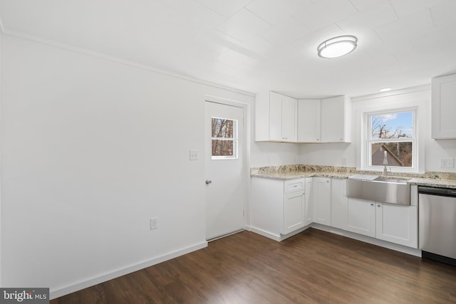 kitchen with stainless steel dishwasher, a sink, dark wood finished floors, and white cabinetry