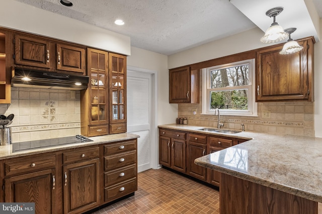 kitchen with glass insert cabinets, a sink, a peninsula, under cabinet range hood, and black electric cooktop