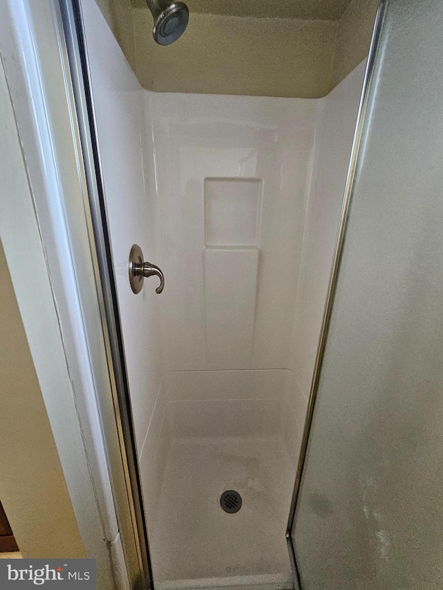 bathroom featuring a shower stall