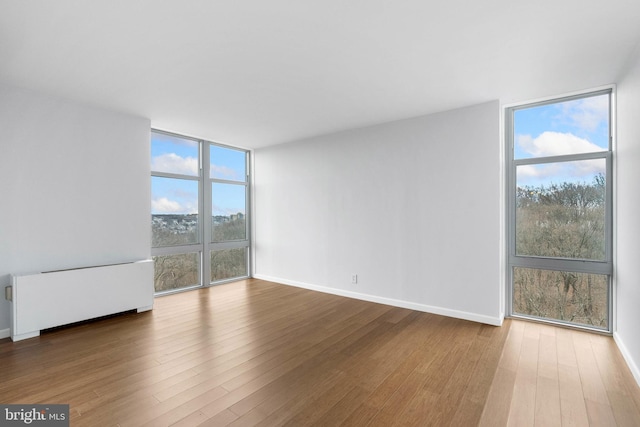 spare room with expansive windows, baseboards, and wood finished floors