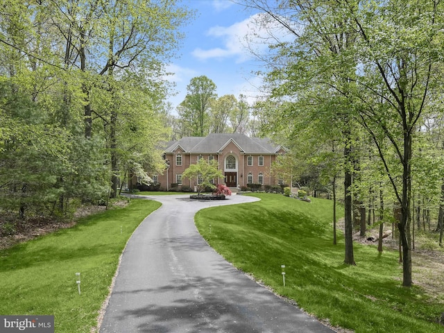 view of front of home featuring driveway and a front yard