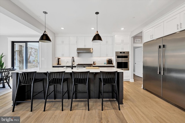 kitchen with under cabinet range hood, light countertops, light wood-style flooring, appliances with stainless steel finishes, and white cabinetry