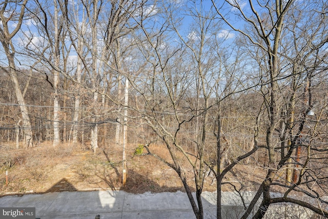 view of nature featuring a wooded view