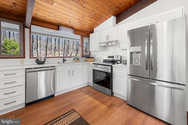 kitchen with under cabinet range hood, light countertops, vaulted ceiling, appliances with stainless steel finishes, and a sink