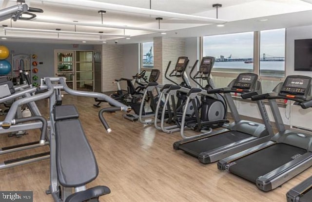 workout area featuring light wood-type flooring