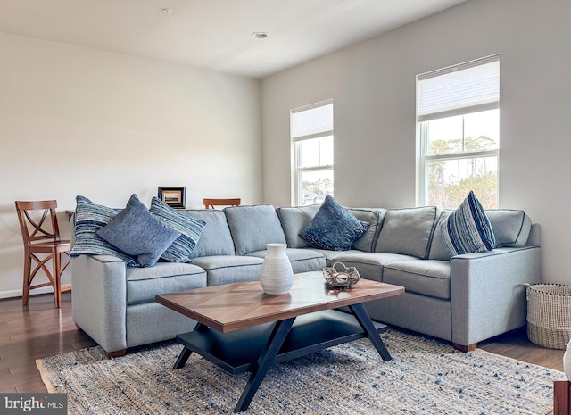 living room featuring baseboards and wood finished floors